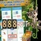 888slot net – Nền tảng giải trí số hàng đầu cho trải nghiệm đỉnh cao