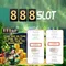 888slot-888: Khám phá nền tảng đỉnh cao và trải nghiệm mới